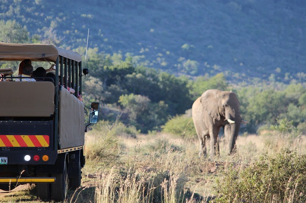On Safari in South Africa - Elephant Lodge