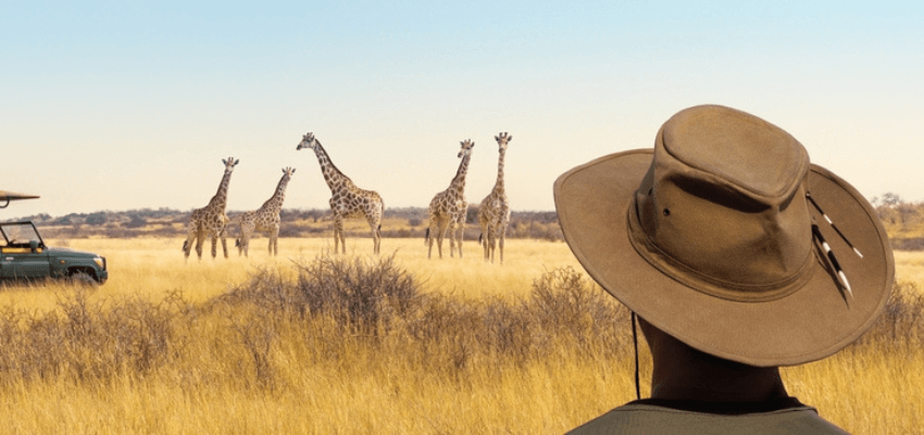 Safari 101: Do’s, Don’ts, and Don’t Even Think About It’s