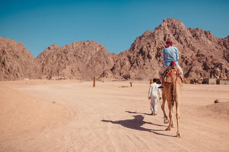 Embark on Cultural Desert Adventures