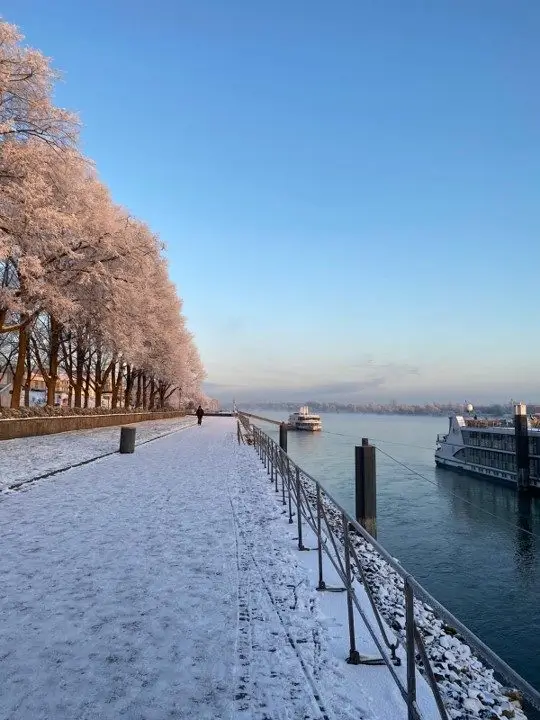 Would you love to go on a Christmas Cruise? 