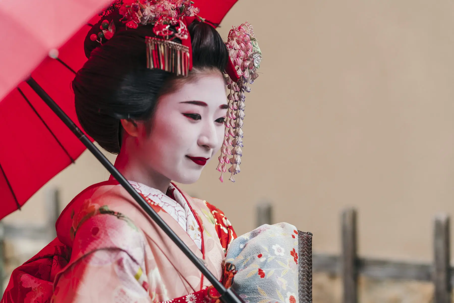 Learn about geisha culture