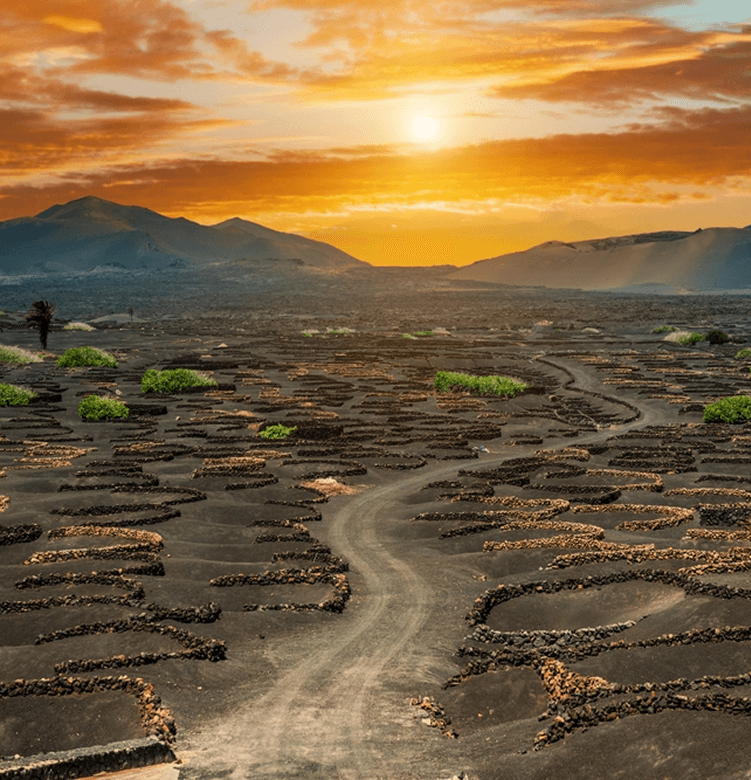 Fly from Edinburgh to Lanzarote