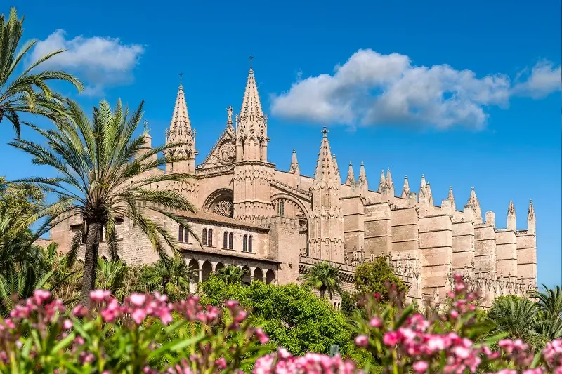 Visit La Seu Cathedral