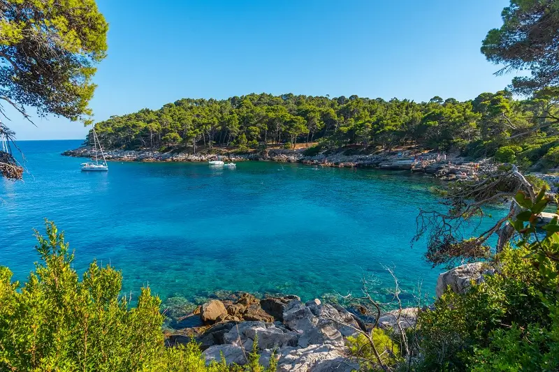 Visit Lokrum Island