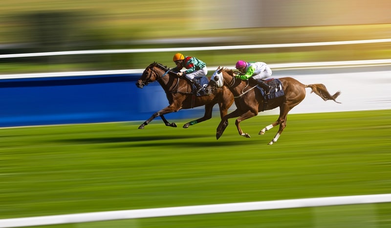 Leopardstown Christmas Festival Horse Racing