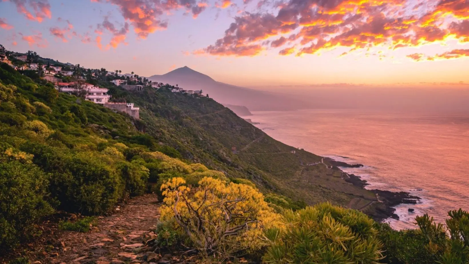 Tenerife  