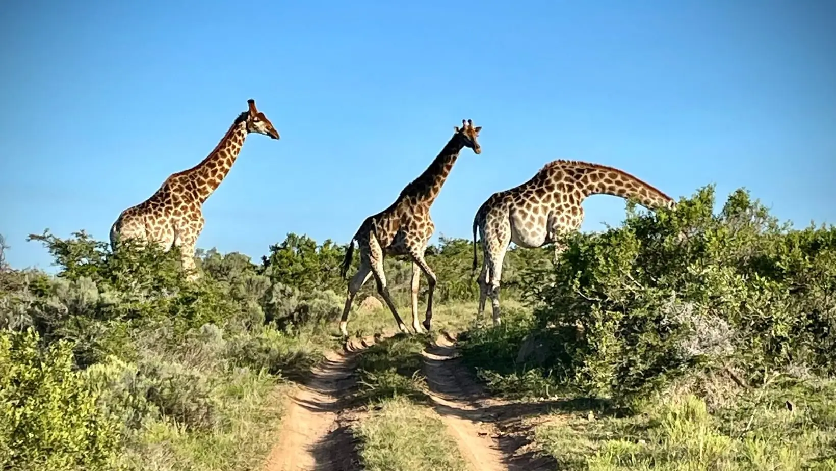 A Sensational Trip To South Africa