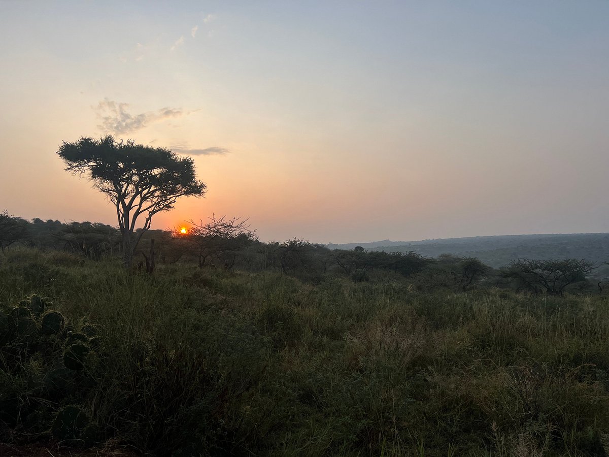 Kenya/Safari