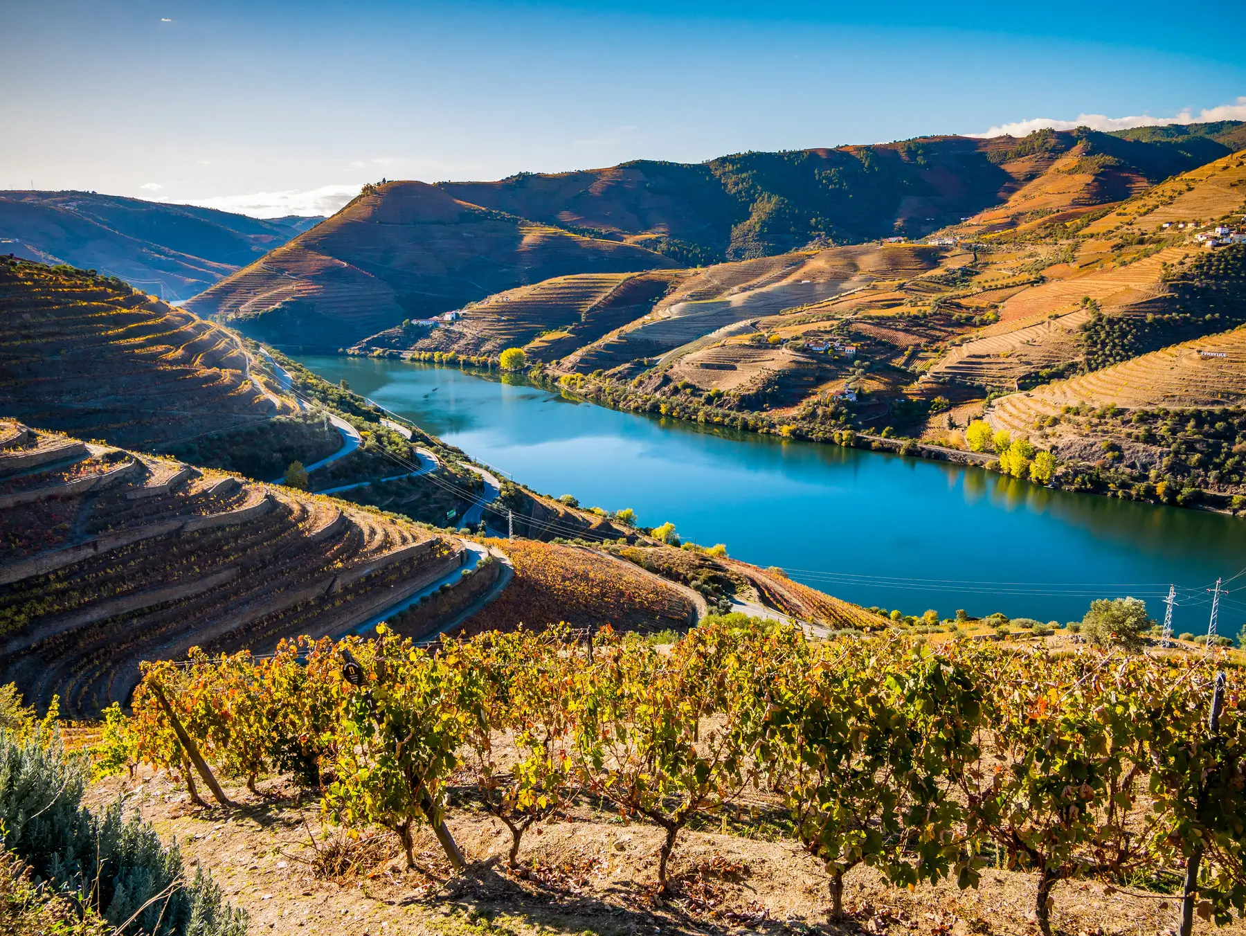 Taste of the Douro Valley