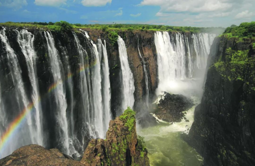 Safari in South Africa