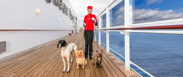 All Paws on Deck: Dog-friendly Cruising with Cunard