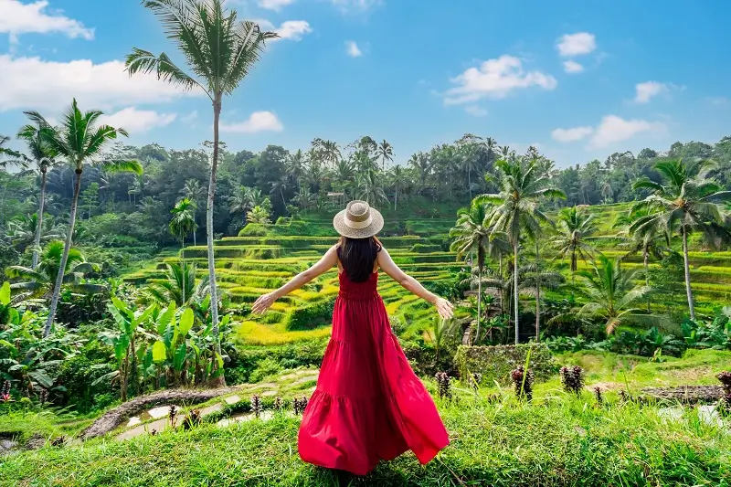 Uncover Bali: The Island of the Gods