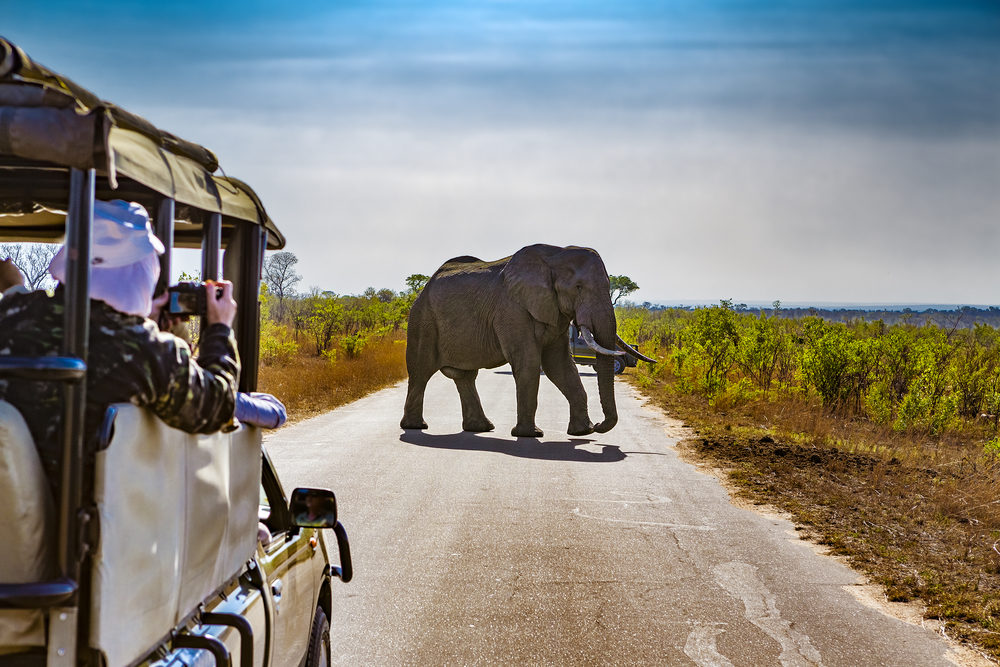 south africa safari holidays tui