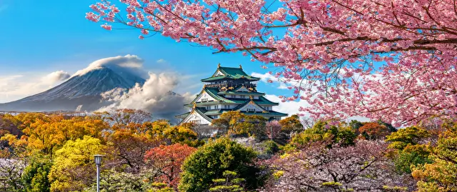 Japan Uncovered: Cherry Blossoms and Amazing Adventures with Wendy Wu