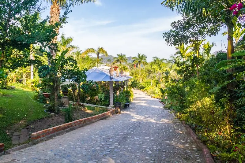 Explore the Vallarta Botanical Gardens