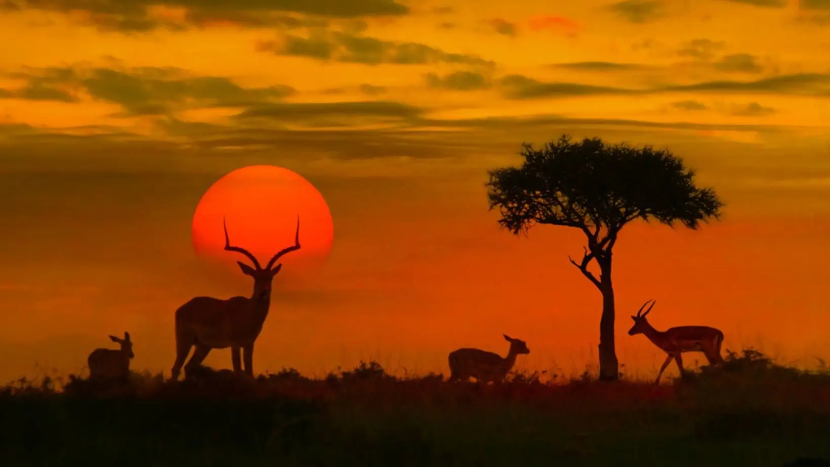 Kruger National Park, South Africa