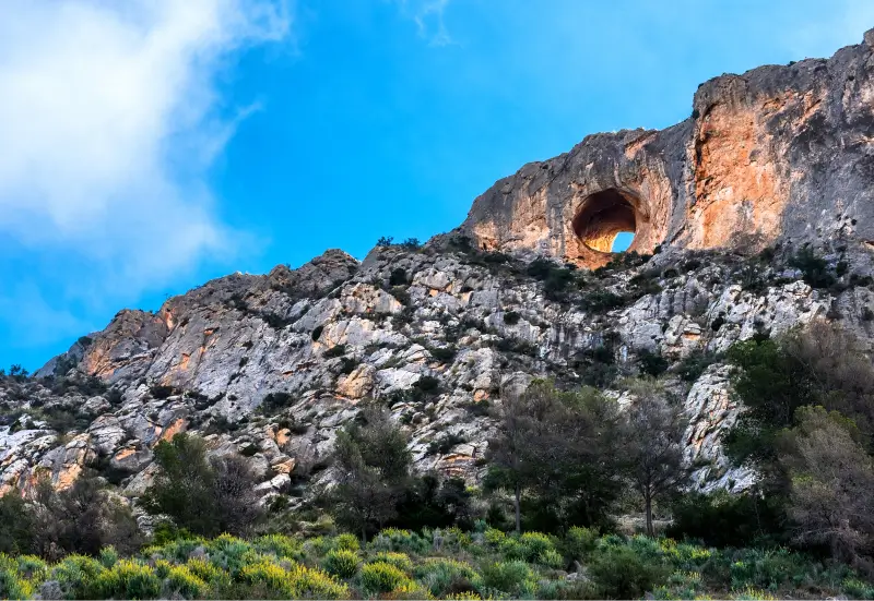 Visit the Canelobre Caves