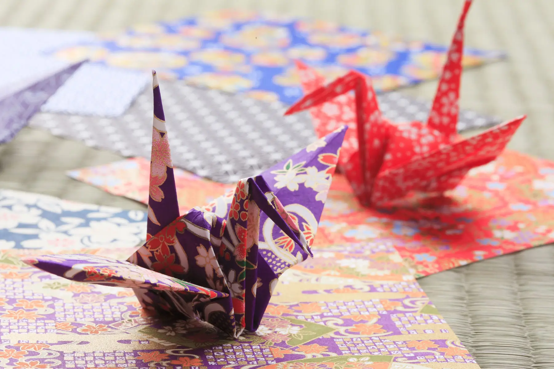 Learn the art of origami