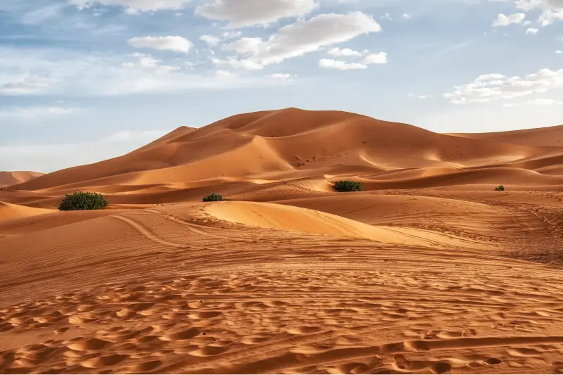 Experience the Beauty of the Sahara Desert