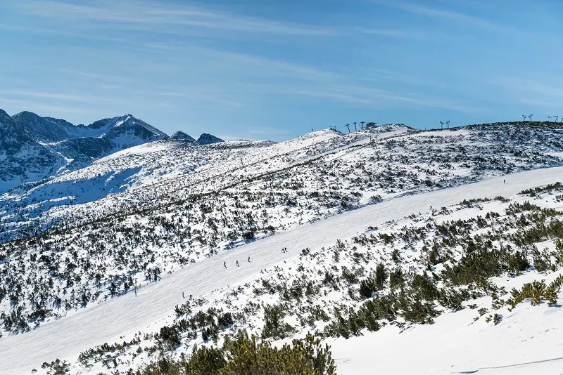 Hotel Lion Borovets