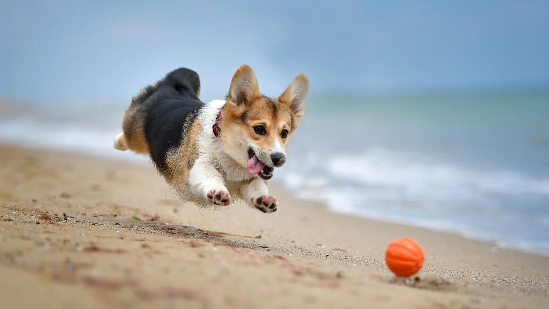 Play at the Beach