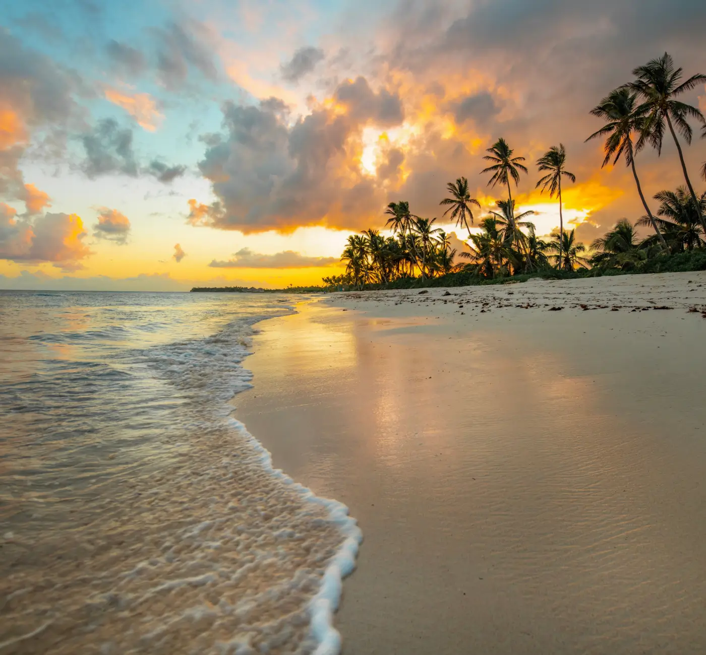 Punta Cana Holidays Travel Guide