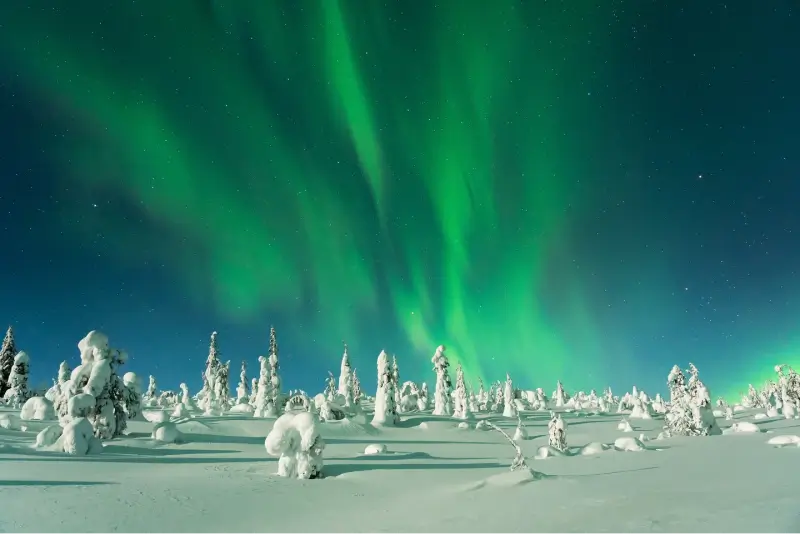 Things to see and do in Lapland