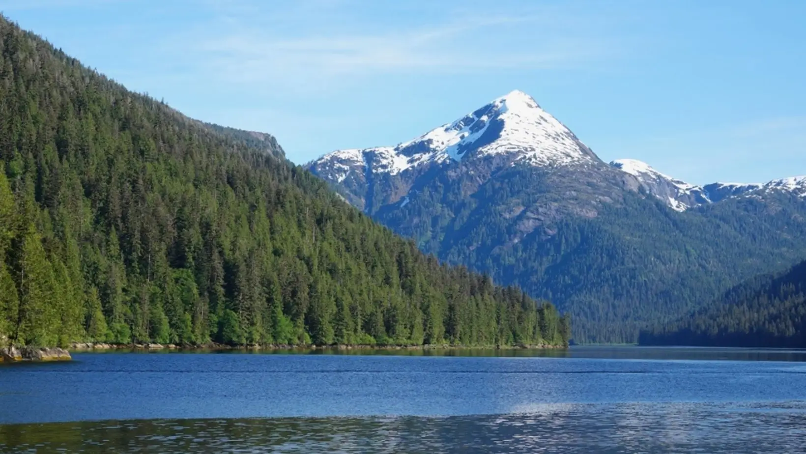 4.Hovercraft Eco Adventure & Wildlife Viewing, USA