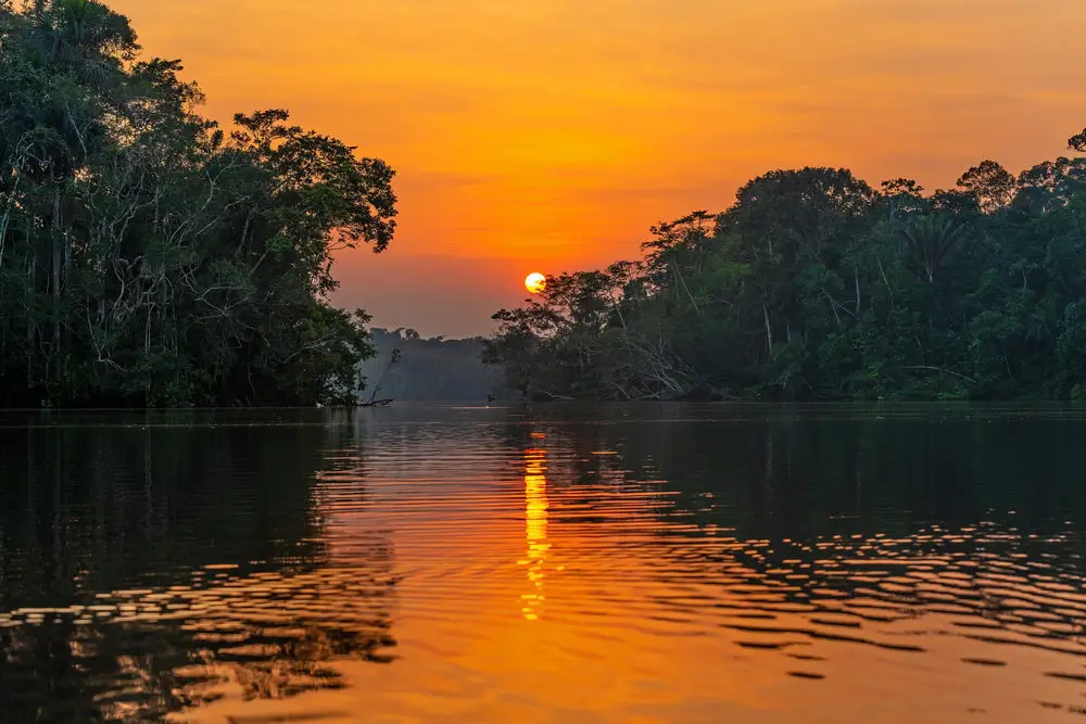 Adventures on the Amazon