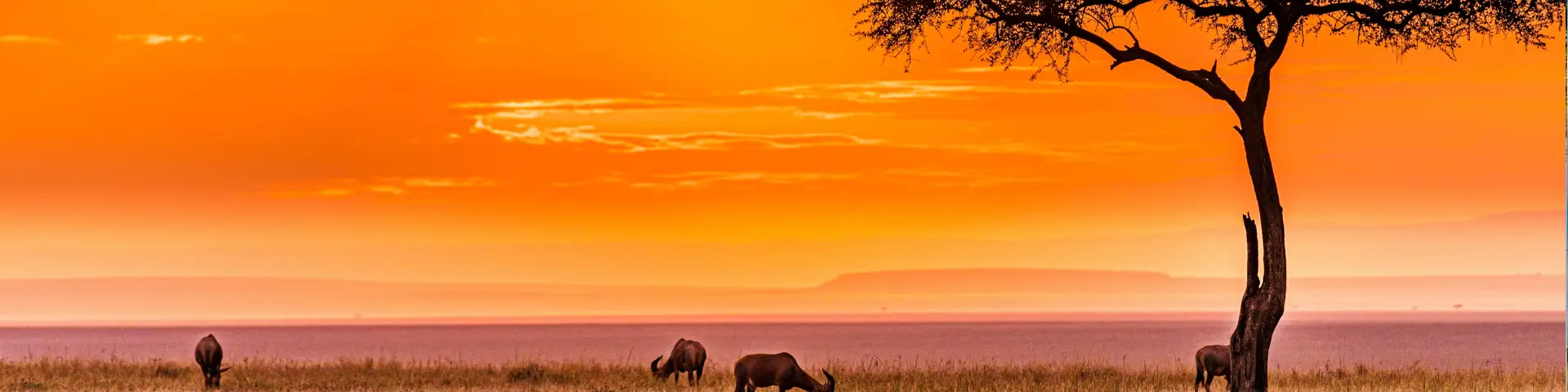 Zanzibar with Fly-In Serengeti Safari 