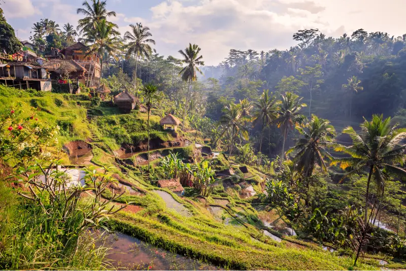 Bali Ubud