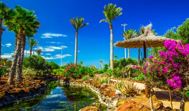 Fuerteventura Holidays